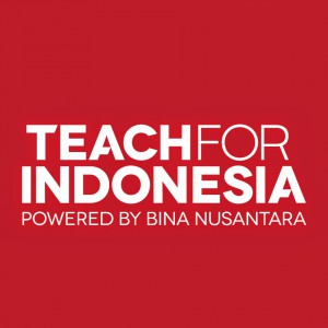 Logo TFI 130715_2b